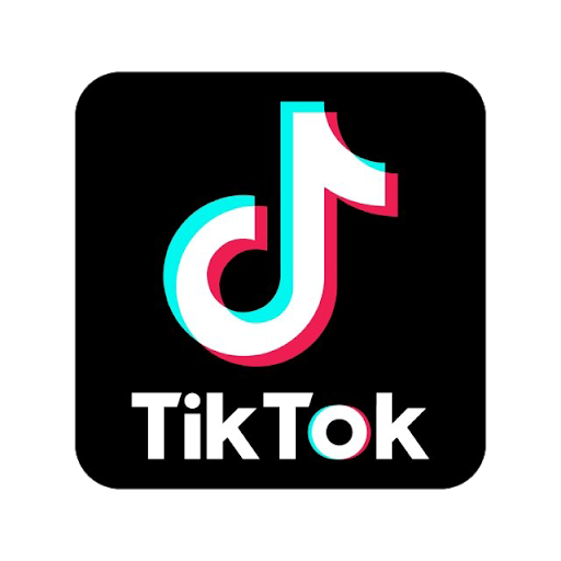 Gabriela LEVEQUE no Tiktok